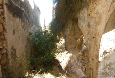 לפי הביצוע במבנה צמחיה רבה טיח מקולף וסדקים